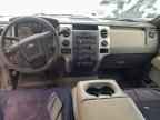 2009 FORD F-150