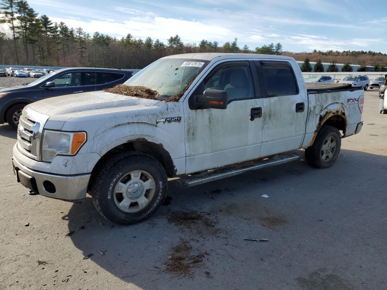 2010 FORD F-150