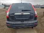 2010 HONDA CR-V