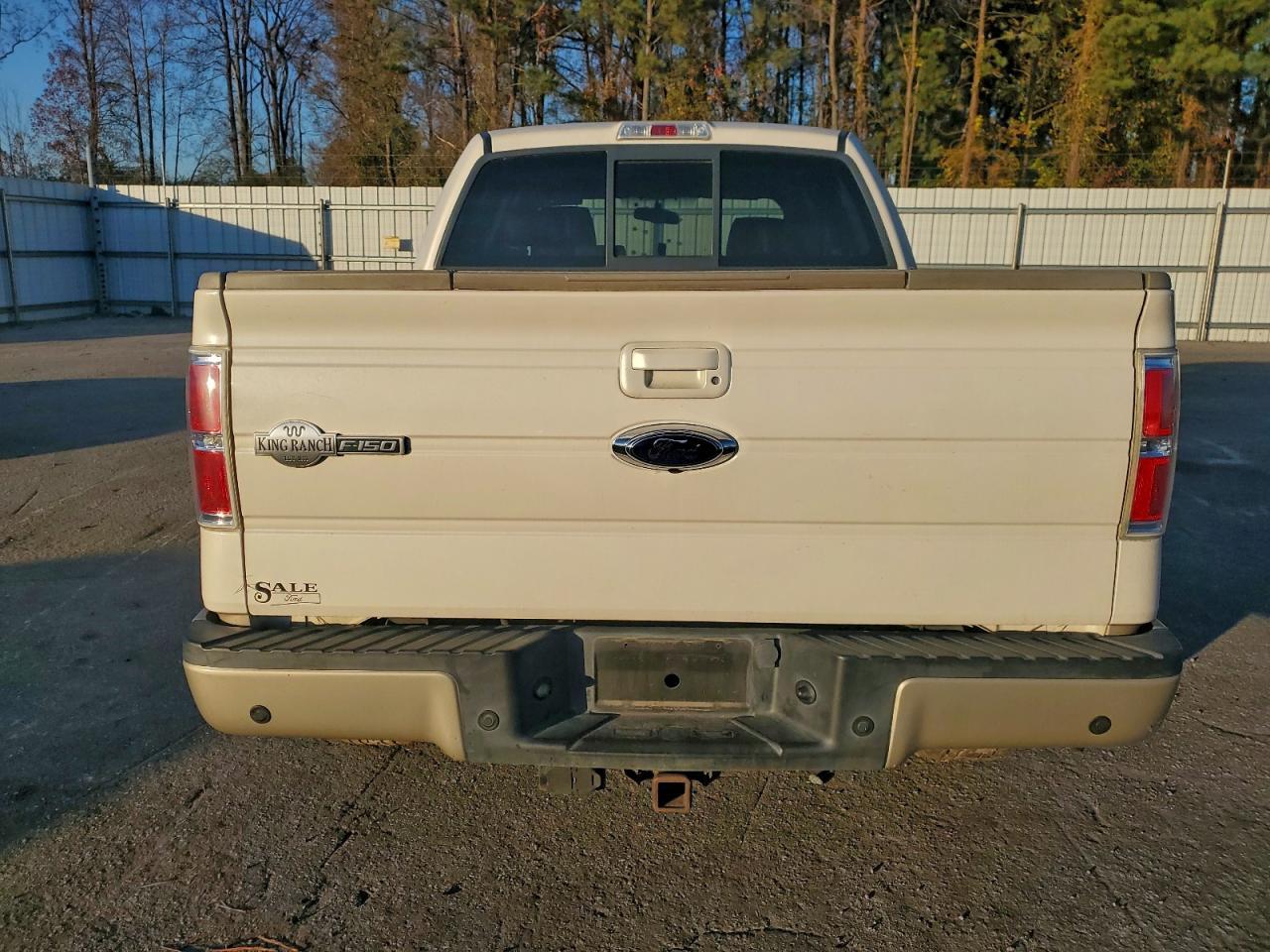 2009 FORD F-150