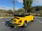 1979 VOLKSWAGEN Beetle