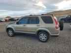 2006 HONDA CR-V