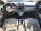 2010 HONDA CR-V