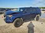 2023 TOYOTA 4Runner