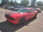 2010 DODGE Challenger