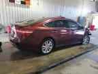 2015 TOYOTA Avalon