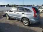 2010 HONDA CR-V