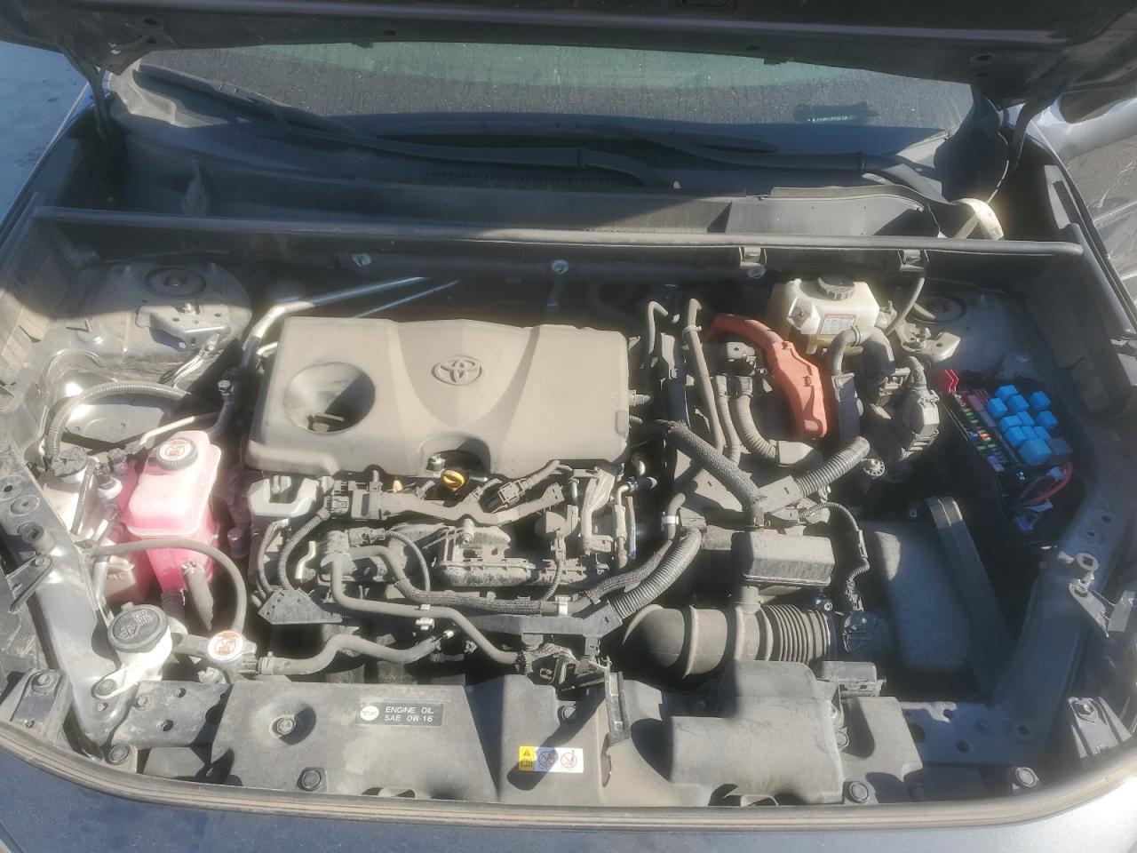 2019 TOYOTA RAV4