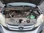 2010 HONDA CR-V
