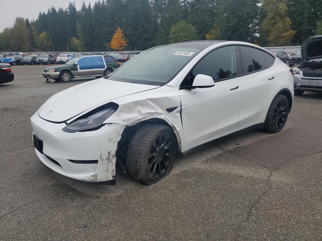 2024 TESLA MODEL Y