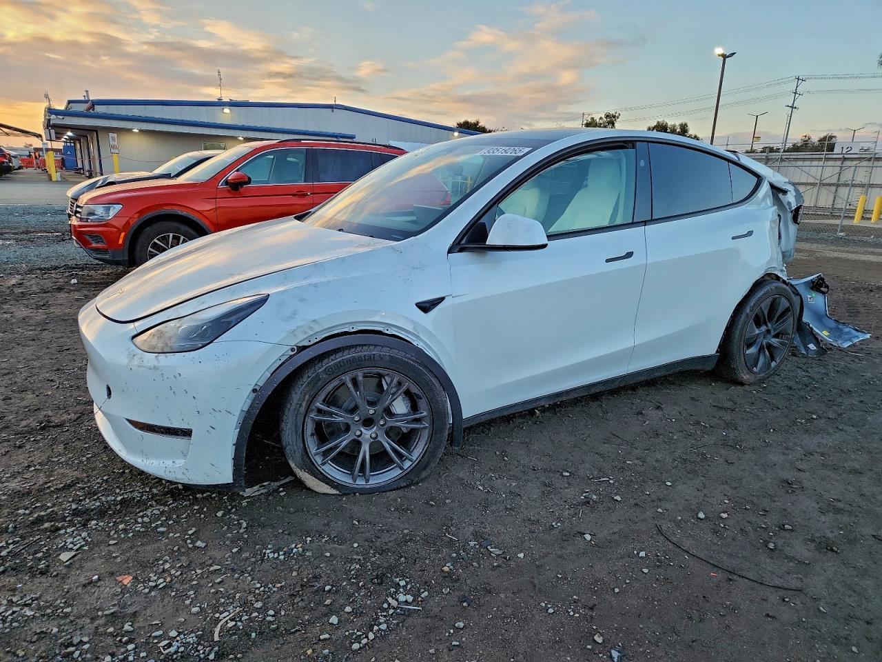 2024 TESLA MODEL Y