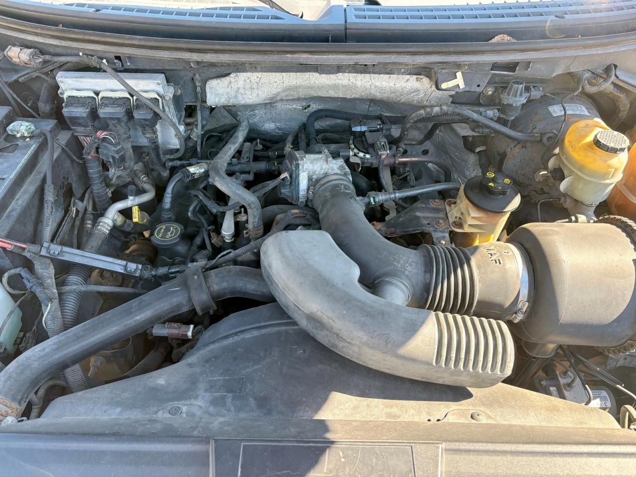 2007 FORD F-150