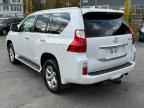 2013 LEXUS GX 460