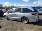 2025 HONDA ODYSSEY