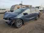 2026 HONDA ODYSSEY