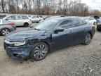 2019 HONDA Insight