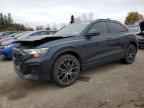 2025 AUDI Q8