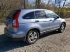 2010 HONDA CR-V