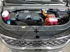 2026 KIA Carnival