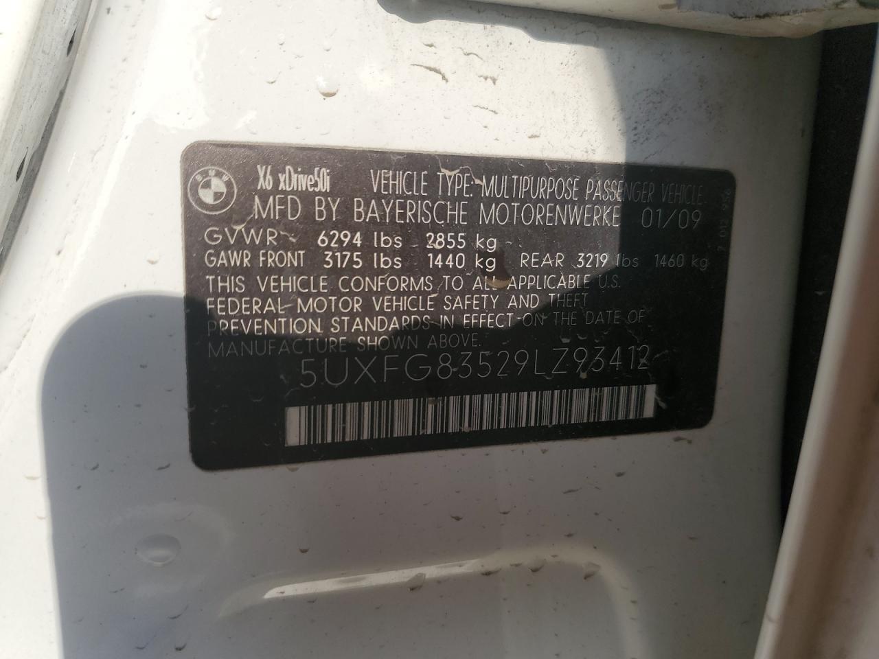 2009 BMW X6