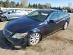 2007 LEXUS LS 460