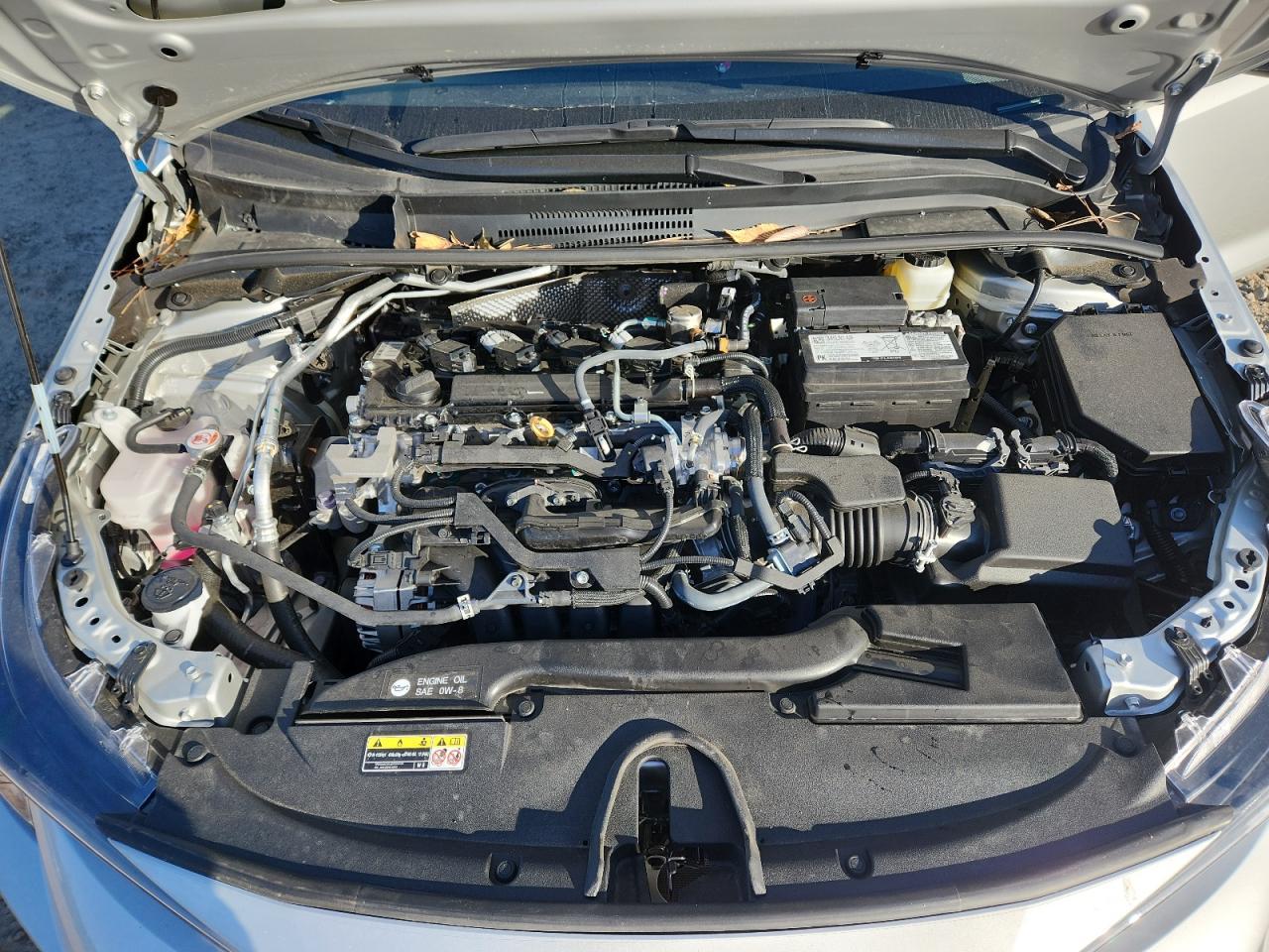 2025 TOYOTA COROLLA