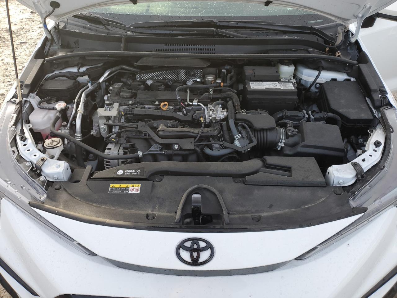 2024 TOYOTA COROLLA