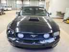 2009 FORD MUSTANG