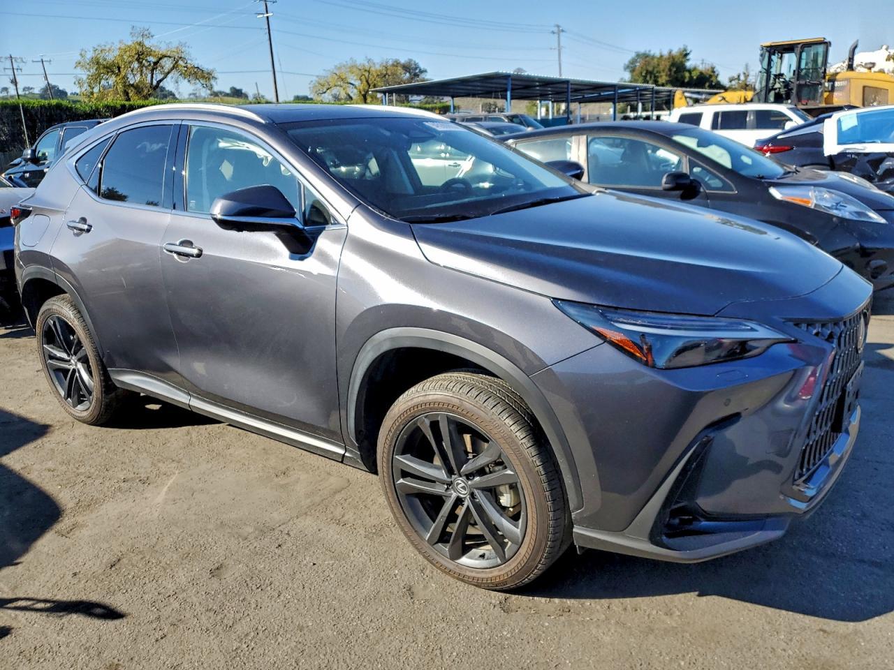 2024 LEXUS Nx