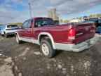 2003 DODGE Dakota