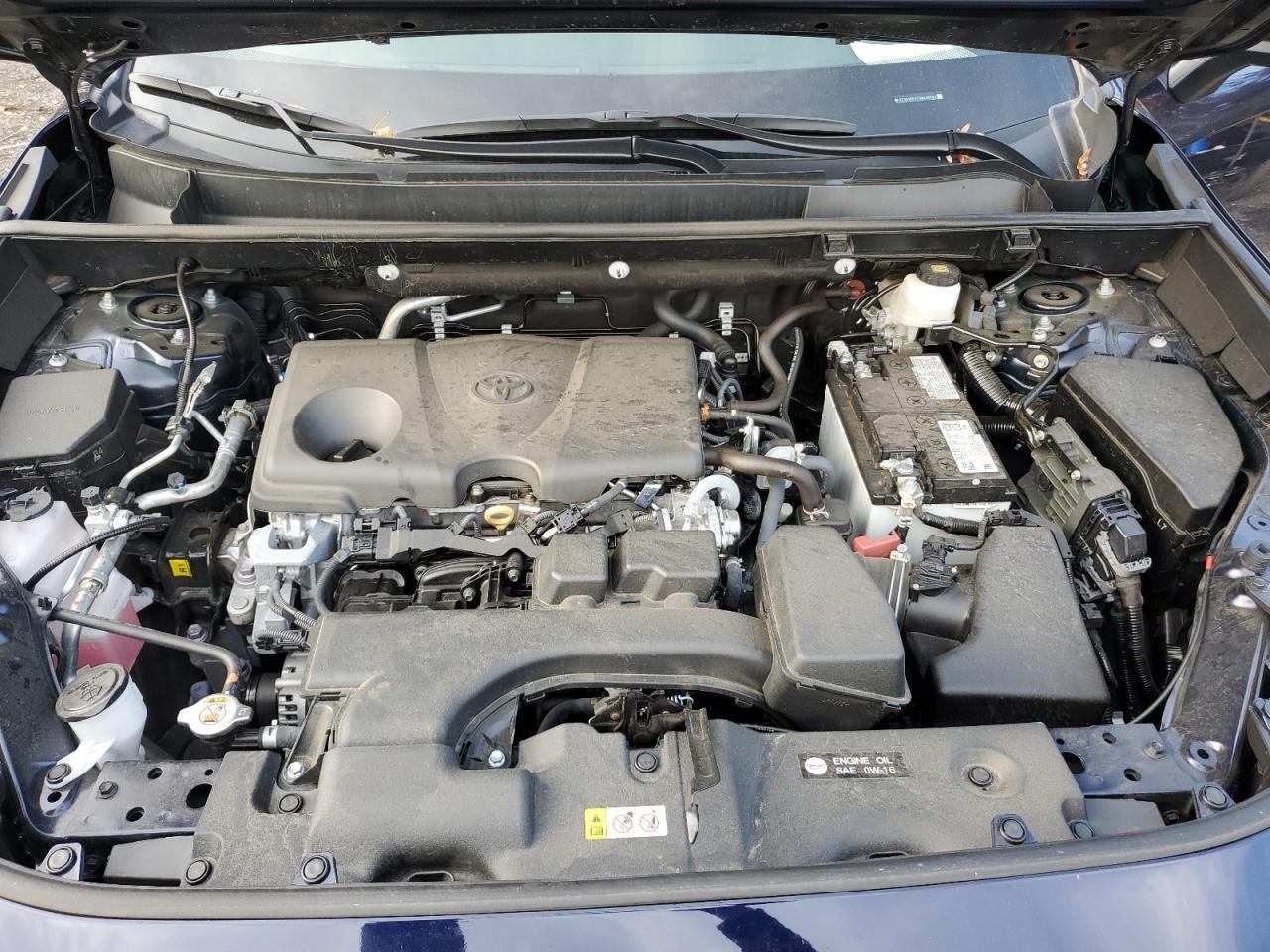 2025 TOYOTA RAV4