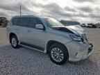2019 LEXUS GX 460