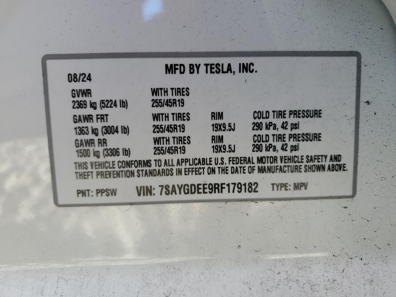 2024 TESLA MODEL Y