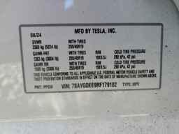 2024 TESLA MODEL Y