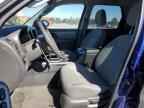 2006 FORD ESCAPE
