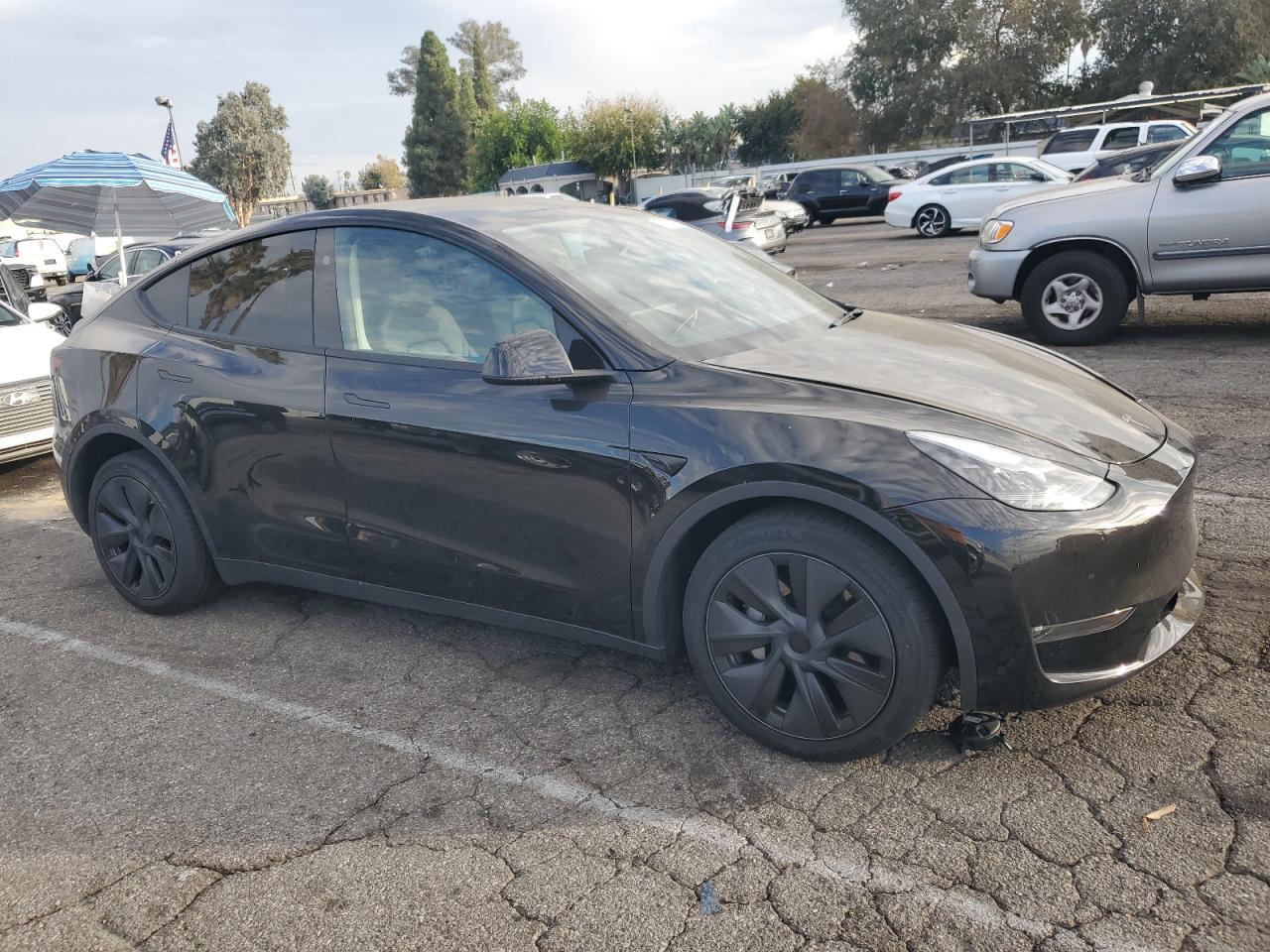 2025 TESLA MODEL Y