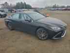 2023 LEXUS ES 350