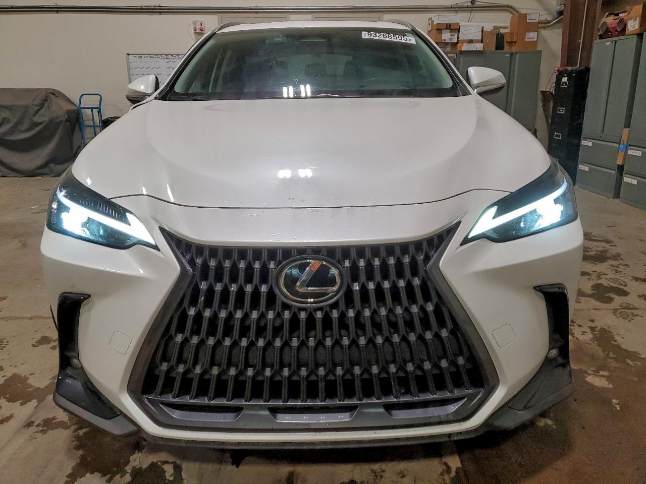2024 LEXUS Nx