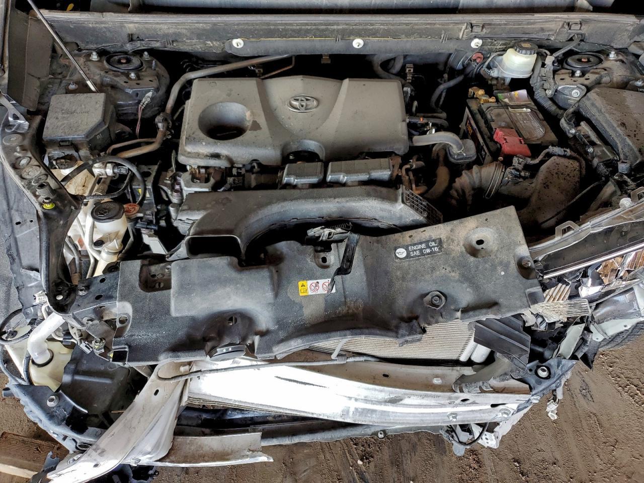 2019 TOYOTA RAV4
