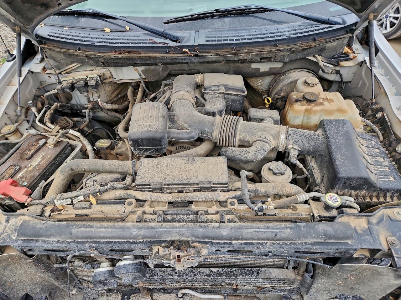 2009 FORD F-150