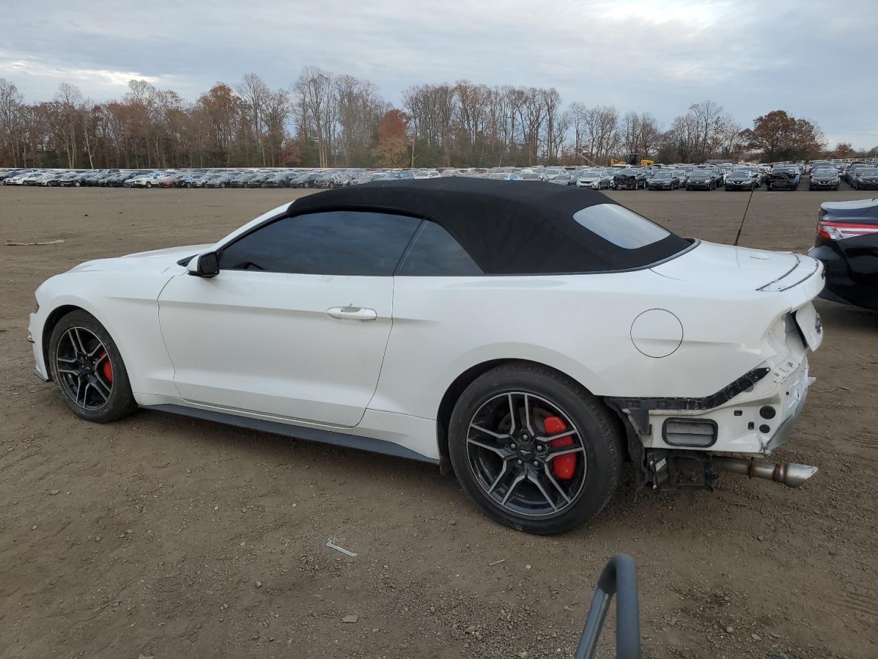 2020 FORD MUSTANG