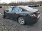 2013 NISSAN Maxima