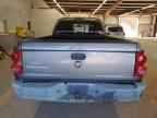 2005 DODGE Dakota