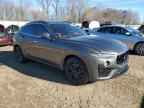 2019 MASERATI Levante