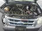 2009 FORD ESCAPE