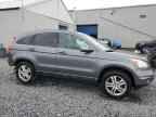 2010 HONDA CR-V