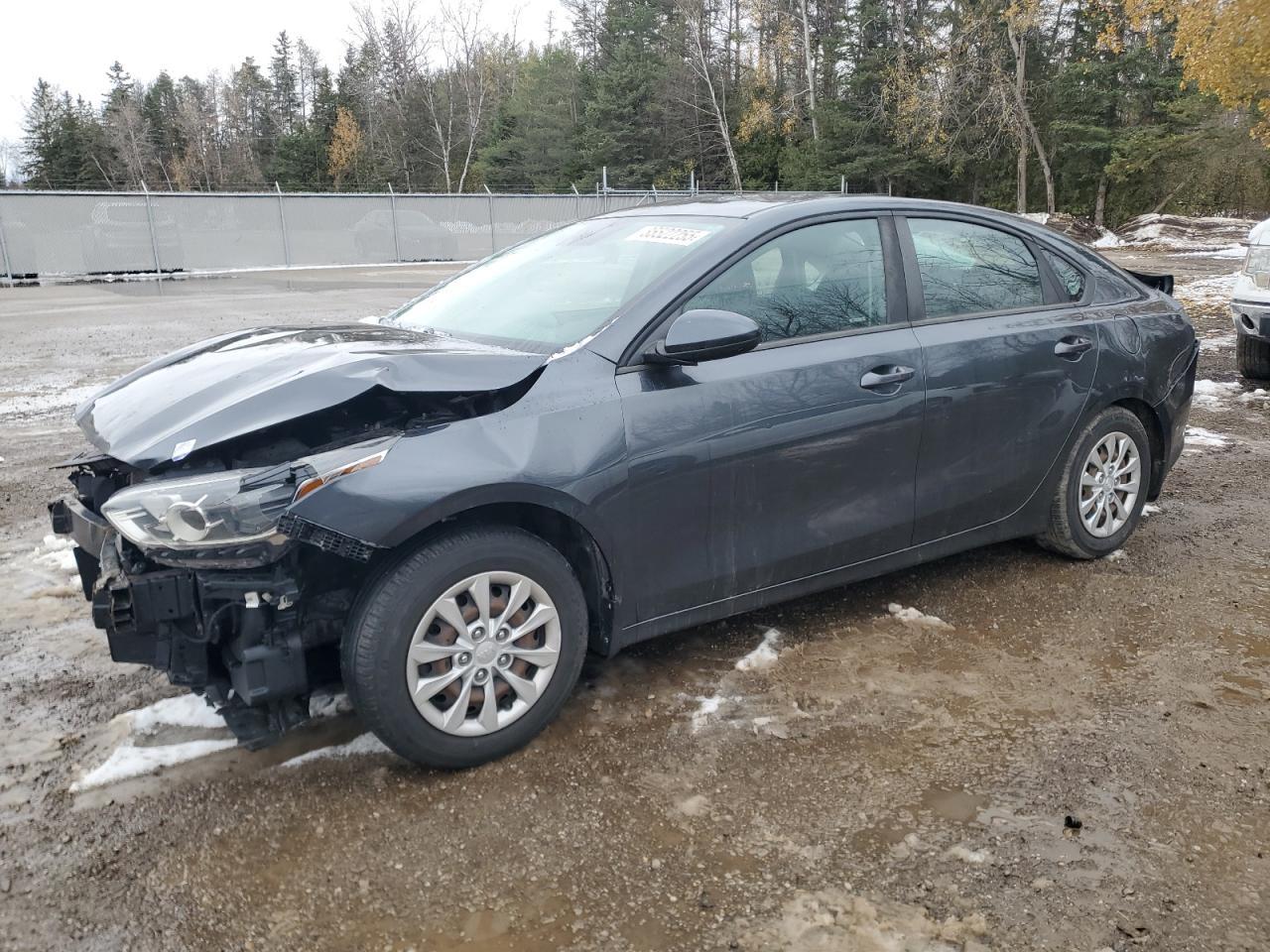 2019 KIA FORTE