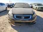 2010 HONDA ACCORD