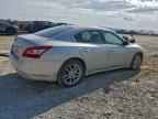 2010 NISSAN Maxima