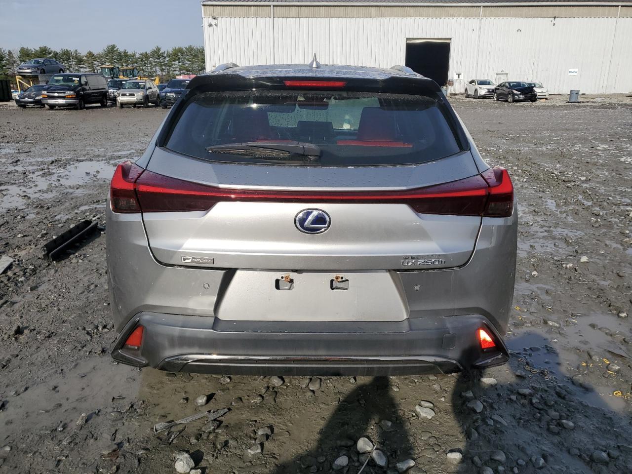 2019 LEXUS UX 250H